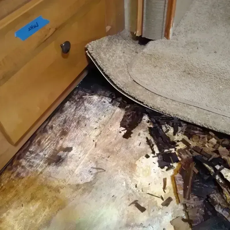 Wood Floor Water Damage in Sanford, FL